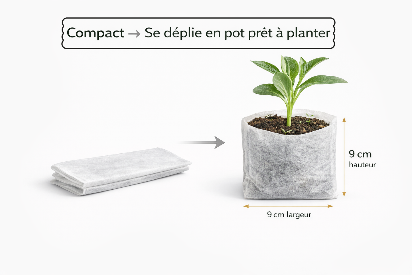 SACS DE CULTURE – Des racines fortes et des plants plus sains