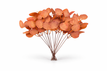 BRANCHES D’EUCALYPTUS ARTIFICIELLES – Décoration naturelle et élégante