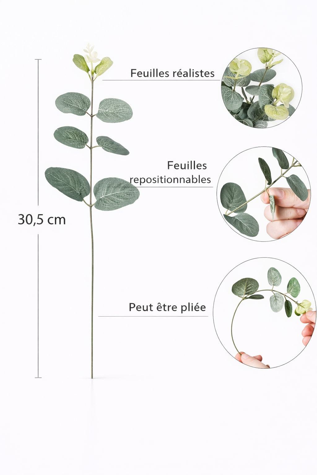 BRANCHES D’EUCALYPTUS ARTIFICIELLES – Décoration naturelle et élégante