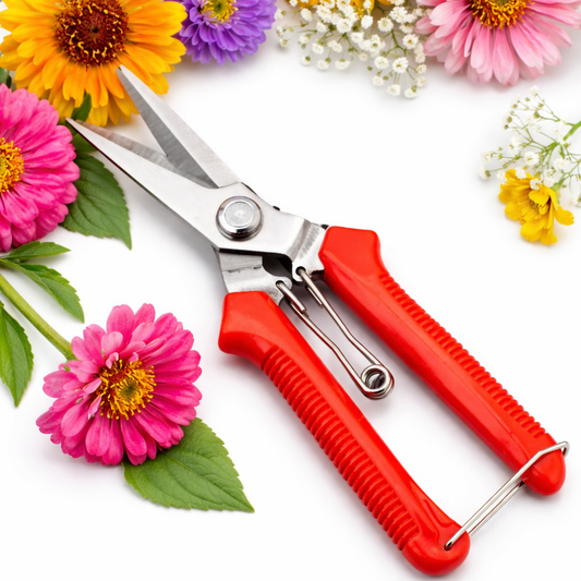 SECATEUR Pro – Des coupes nettes pour des plantes en pleine santé