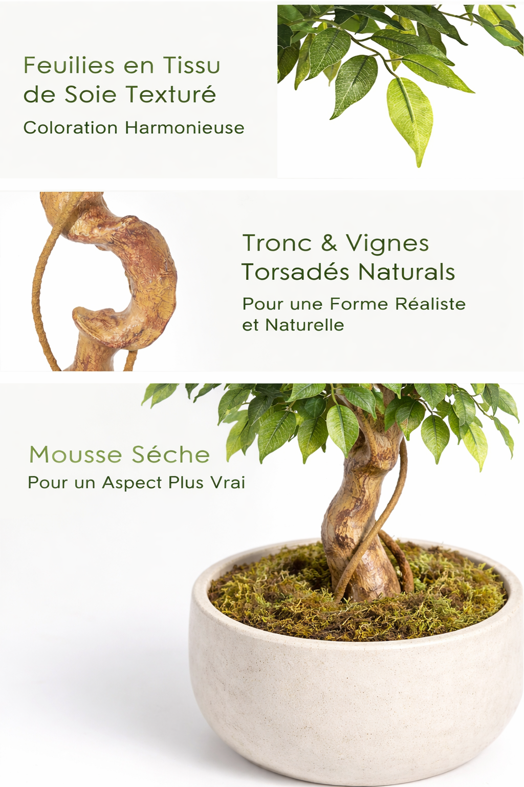 FICUS ARTIFICIEL REALISTE – La plante élégante pour votre maison