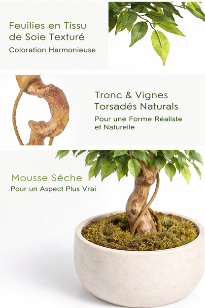 FICUS ARTIFICIEL REALISTE – La plante élégante pour votre maison