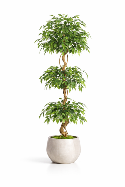 FICUS ARTIFICIEL REALISTE – La plante élégante pour votre maison
