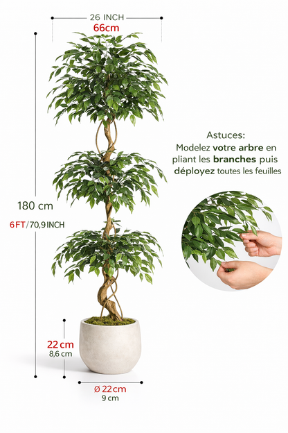 FICUS ARTIFICIEL REALISTE – La plante élégante pour votre maison