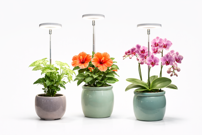 LAMPE LED PRO – La lampe qui remplace le soleil