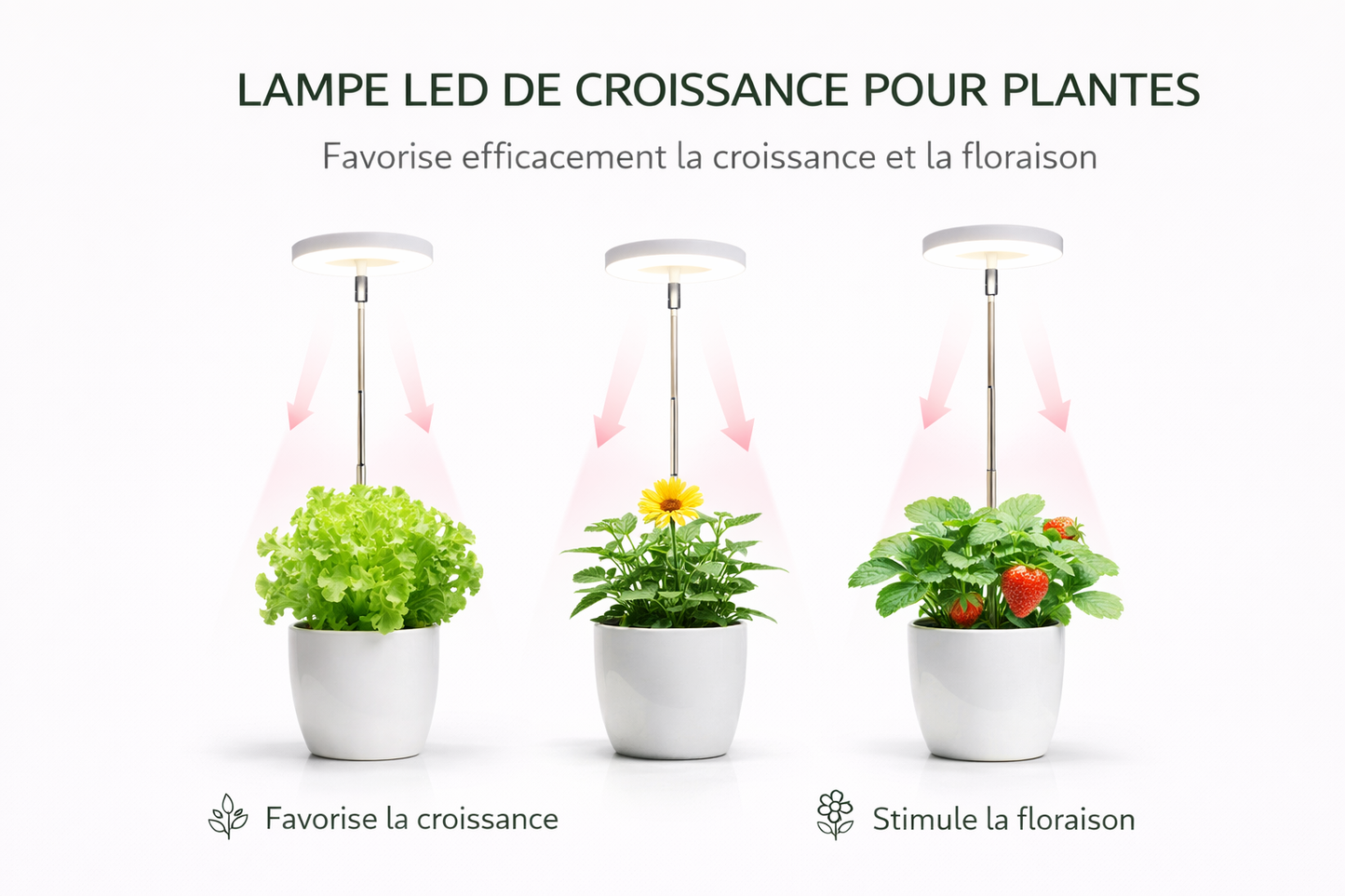 LAMPE LED PRO – La lampe qui remplace le soleil