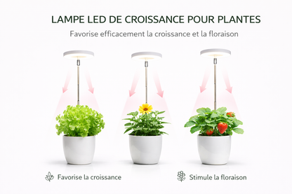 LAMPE LED PRO – La lampe qui remplace le soleil