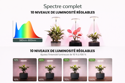 LAMPE LED PRO – La lampe qui remplace le soleil