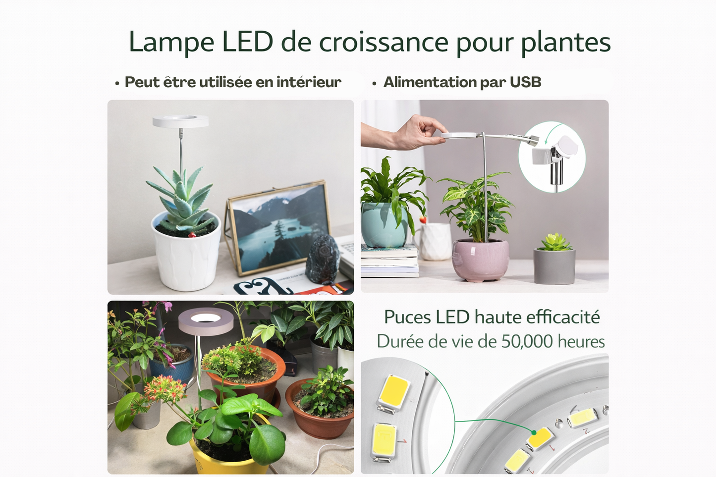 LAMPE LED PRO – La lampe qui remplace le soleil