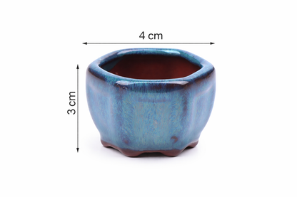 MINI POT BONSAÏ STYLE CHINOIS – Une touche zen pour vos plantes