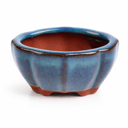 MINI POT BONSAÏ STYLE CHINOIS – Une touche zen pour vos plantes