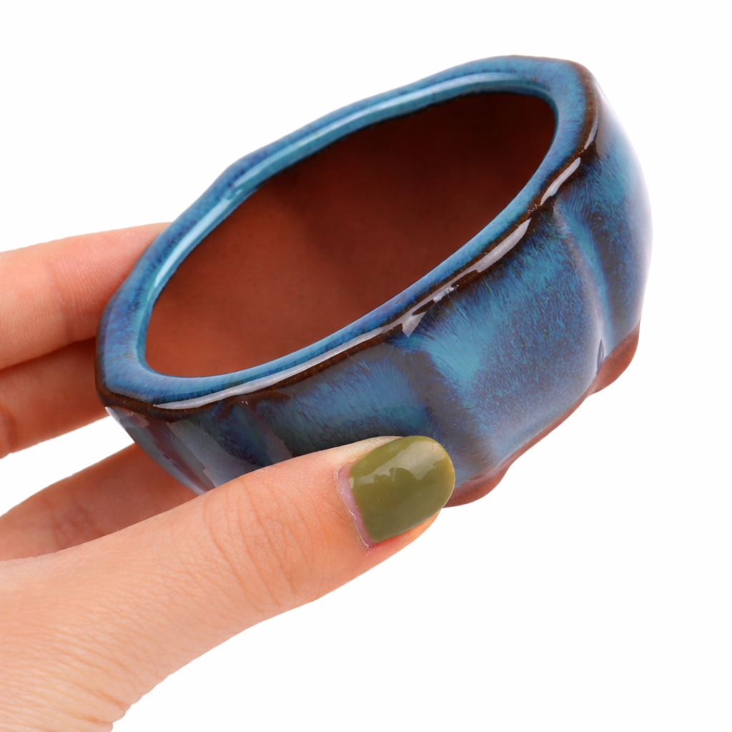 MINI POT BONSAÏ STYLE CHINOIS – Une touche zen pour vos plantes