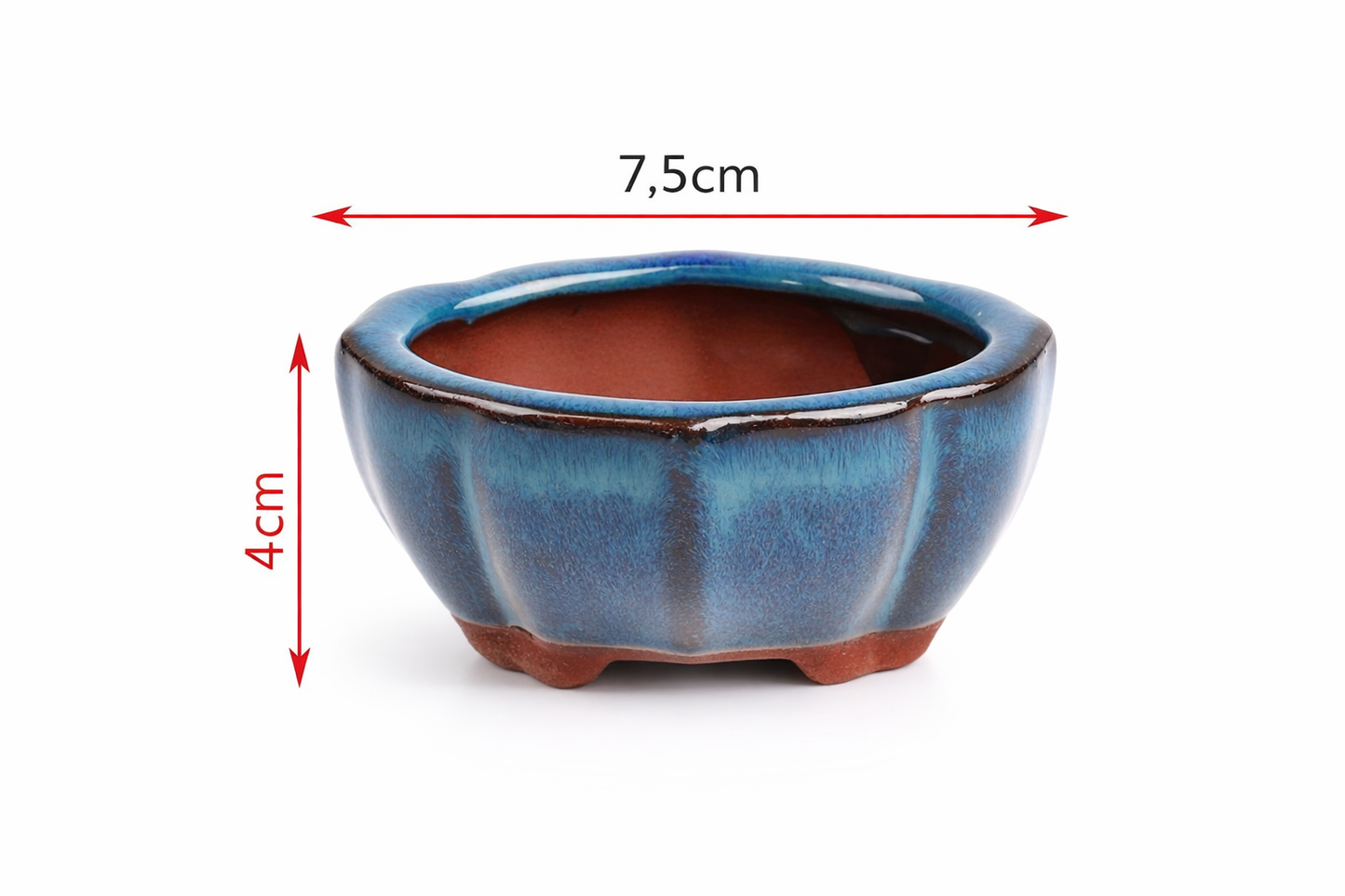 MINI POT BONSAÏ STYLE CHINOIS – Une touche zen pour vos plantes