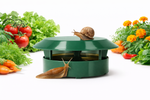 PIÈGE À LIMACES PRO – Stoppez les escargots et limaces au jardin
