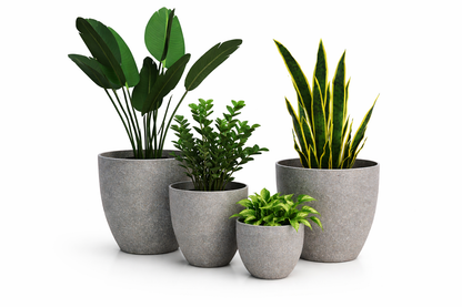 POT BONSAÏ STYLE PIERRE – Une touche naturelle et élégante
