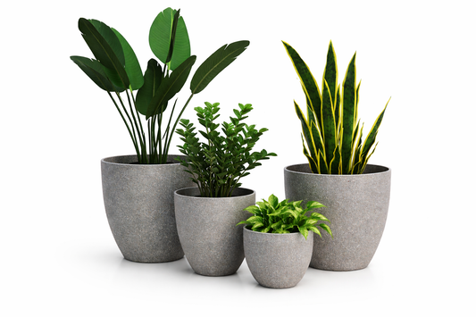 POT BONSAÏ STYLE PIERRE – Une touche naturelle et élégante