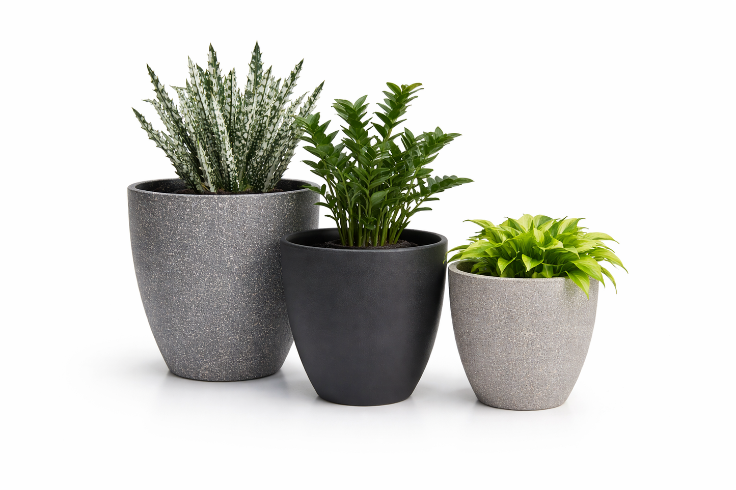 POT BONSAÏ STYLE PIERRE – Une touche naturelle et élégante