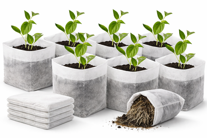 SACS DE CULTURE – Des racines fortes et des plants plus sains