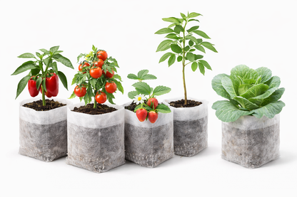 SACS DE CULTURE – Des racines fortes et des plants plus sains