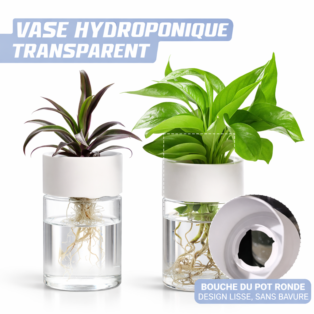 VASE HYDROPONIQUE TRANSPARENT – Sublimez vos plantes avec élégance